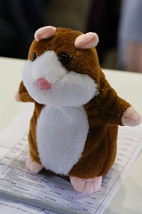 2017_12_01 11_00_05 - Froehlich